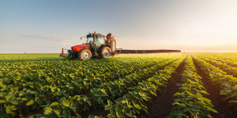 El 30% de agricultores enfrentan crisis en Tamaulipas